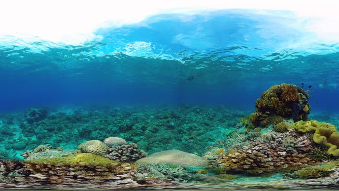 Day of rest & relaxation