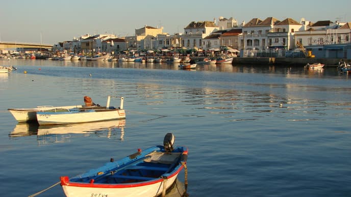 Beautiful Countryside & Wine