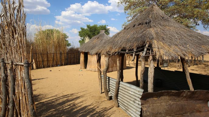 Rich wildlife encounters in Mahango