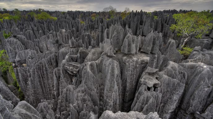 Visit The Tsingy of Bemaraha National Park