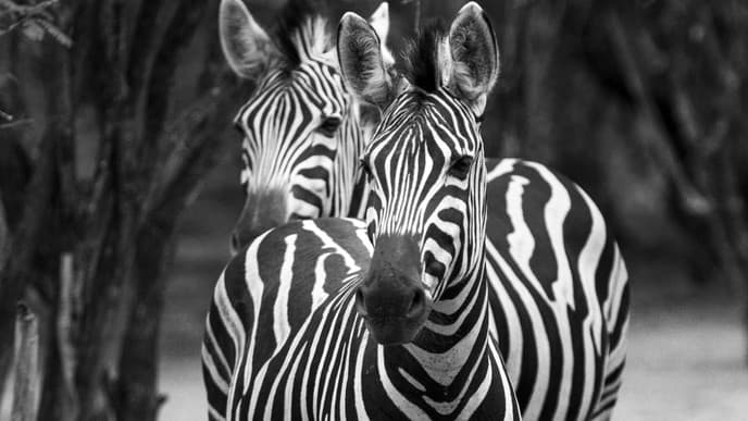 Ankunft im Marloth Park