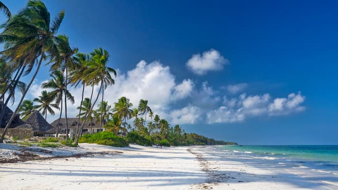Day to relax at the beaches of Zanzibar