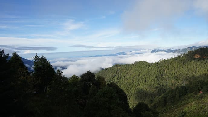 Wanderung durch den Nebelwald