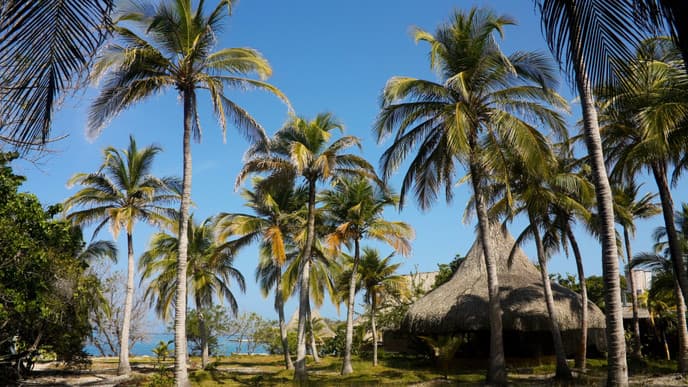 Explore the Island of San Pedro de Majagua