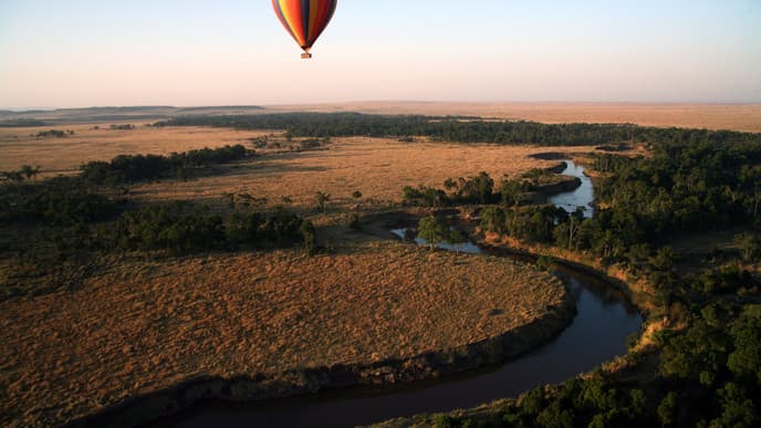 See Lion In Mara