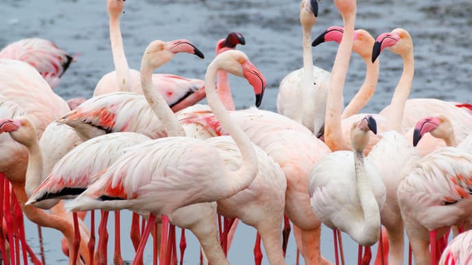 Swakopmund zu Wasser und zu Land