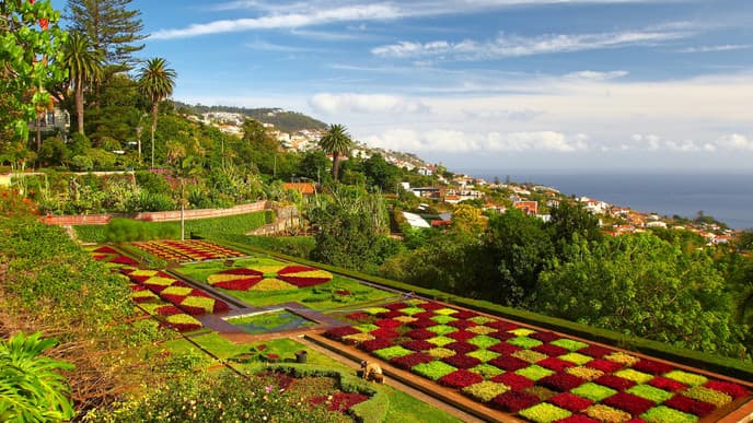 Say Farewell to Madeira