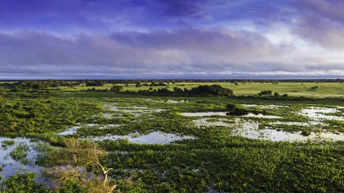 Wilkommen in Campo Grande