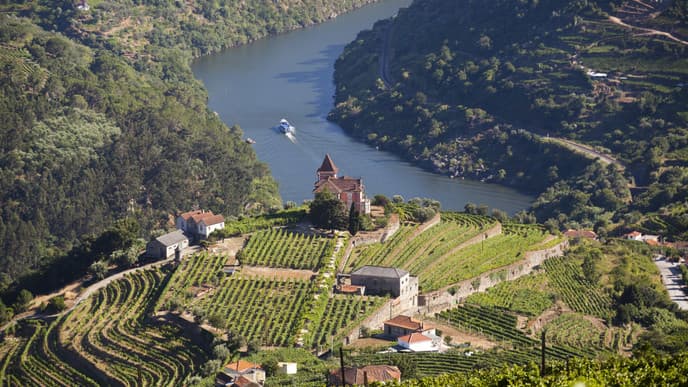 Cruise down the Douro River