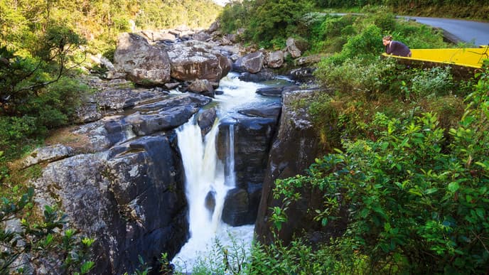 Eine Nacht im Regenwald