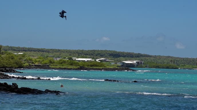 Tour the stunning bay of Santa Cruz