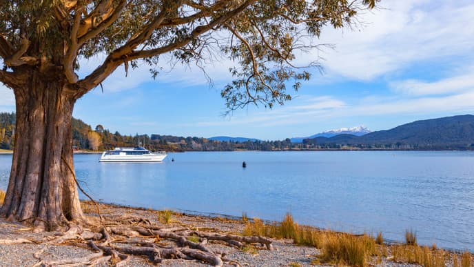 Journey into Fiordland
