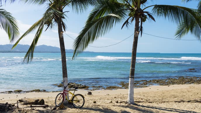 Explore Puerto Viejo's vibrant culture