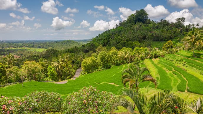 Waterfalls, Terraces and Temples