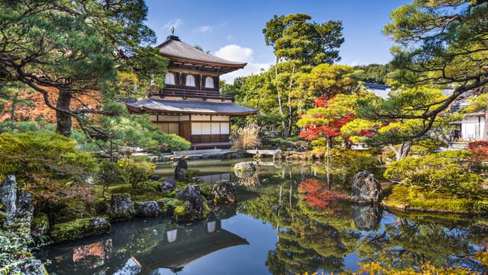 Authentisches, ländliches Japan zwischen Tee- und Reisfeldern