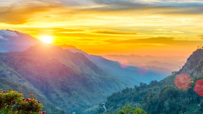 Soak up panoramas of Sri Lanka's tea country