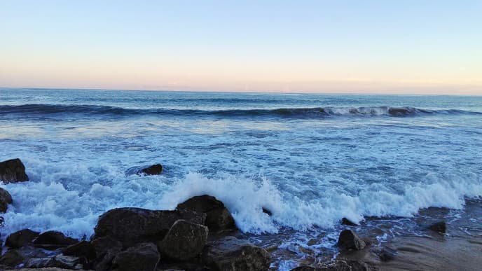 Boating on Chilika Lake