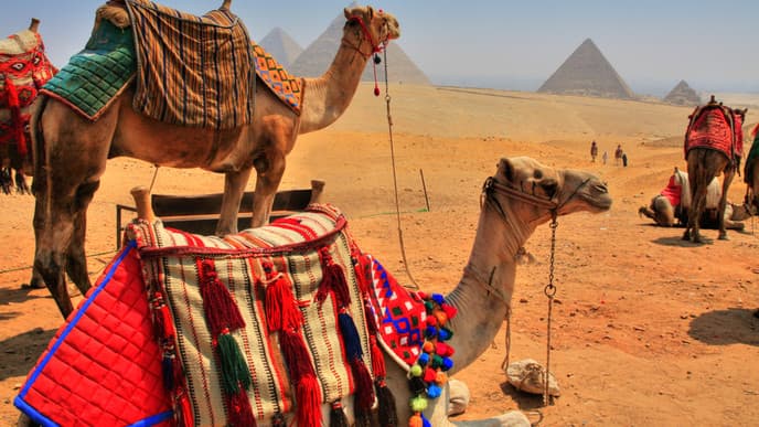 See the Great Pyramids of Giza