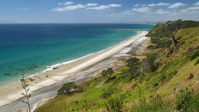 Discover the South Pacific