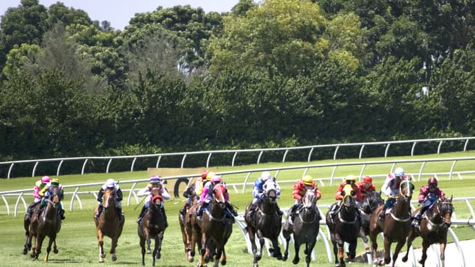 Experience traditional Mongolian horse racing