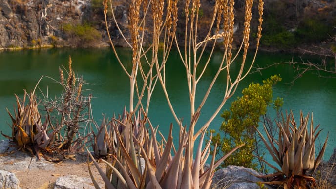 Visit the Lovely Tree Park