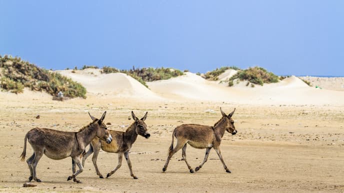 Unterschiedliche Umgebung