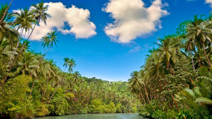 Kayaking & honey farms