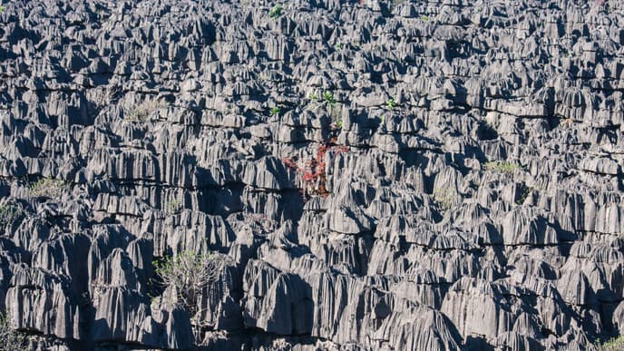 Den "Grauen Tsingy" erkunden