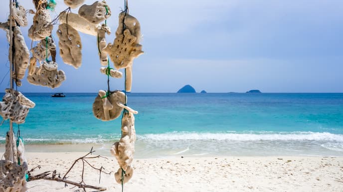 Spend One More Day in Kuala Lumpur