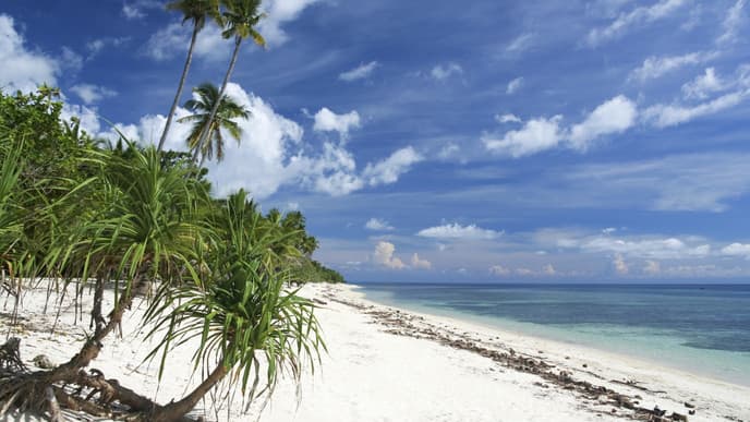 Day tour around Isla Puerto del Fuego