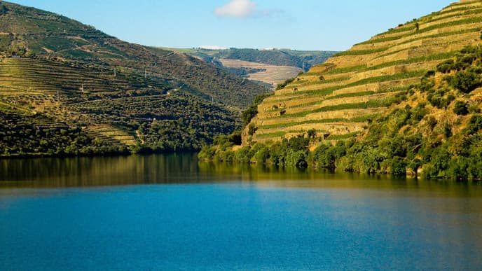 Experience the essence of the Douro Valley
