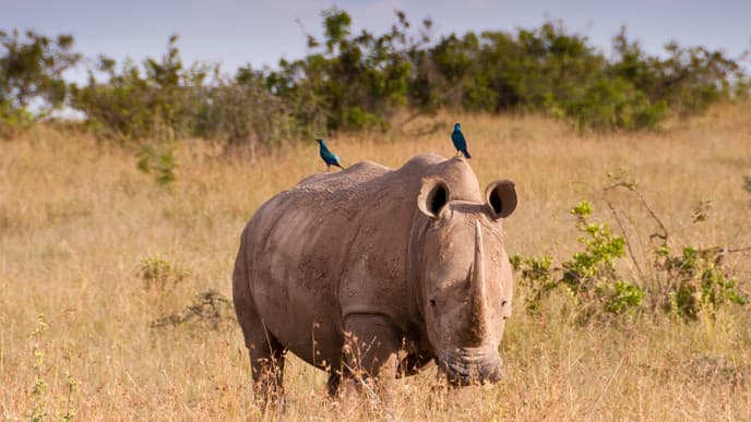 Auf nach Nanyuki
