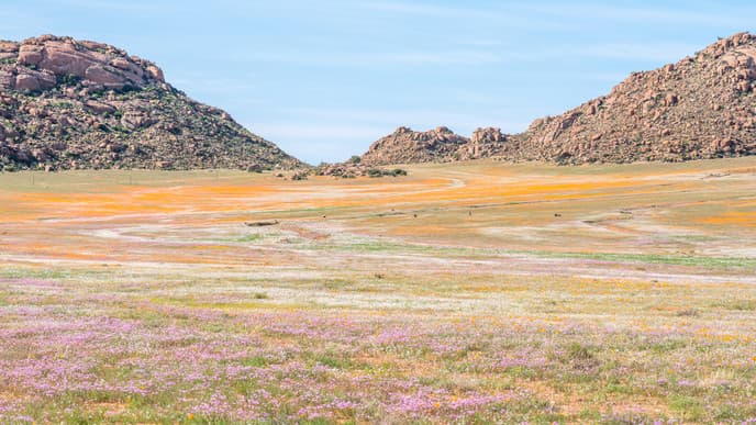 Wasserfälle im Augrabies Falls Nationalpark