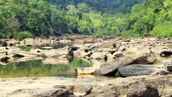 Explore the Magnificent River and Waterfall