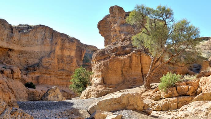 Flug zu den roten Sanddünen