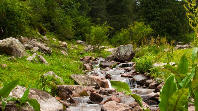 Issyk Kul Lake - Karakol