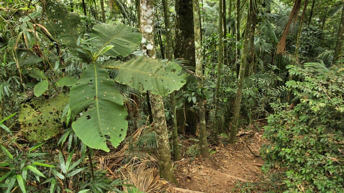 Naturschutzpark Tres Picos