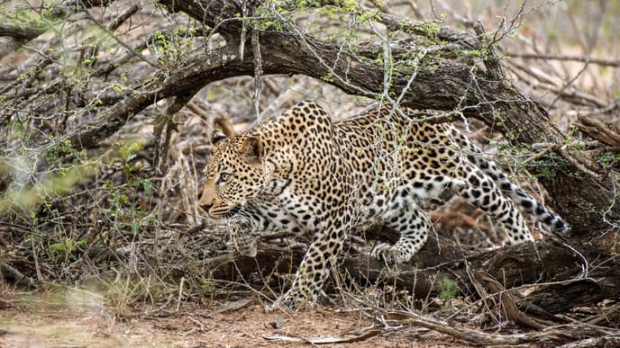 Entspannen an der traumhaften Küste