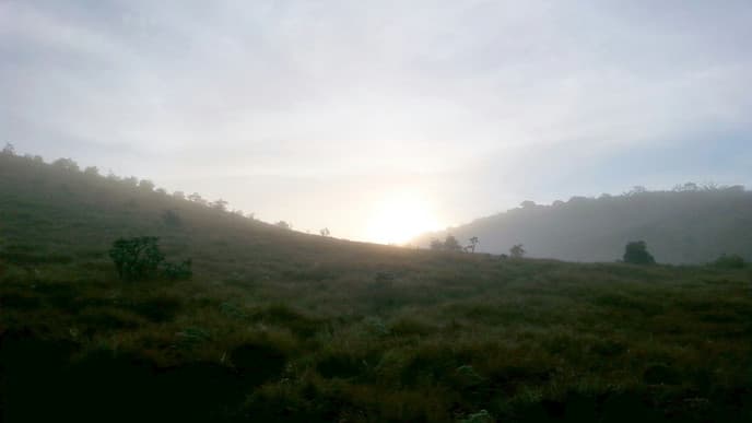 Schnüren Sie die Wanderschuhe!