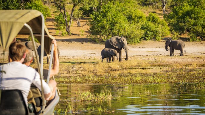 Depart Victoria Falls To Kasane
