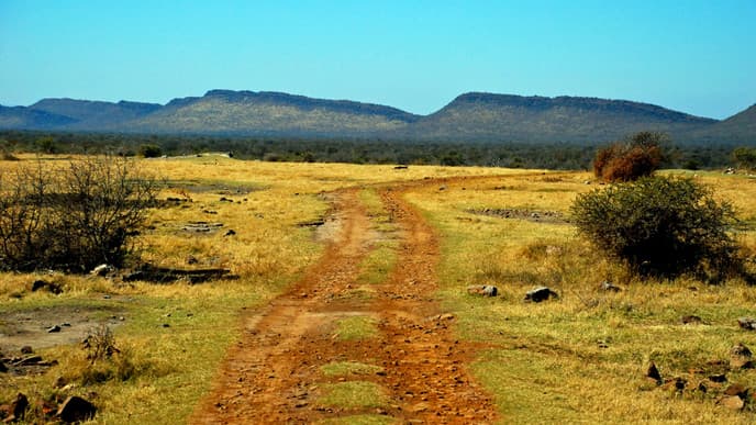 Wildbeobachtungsfahrten zu den Big Five