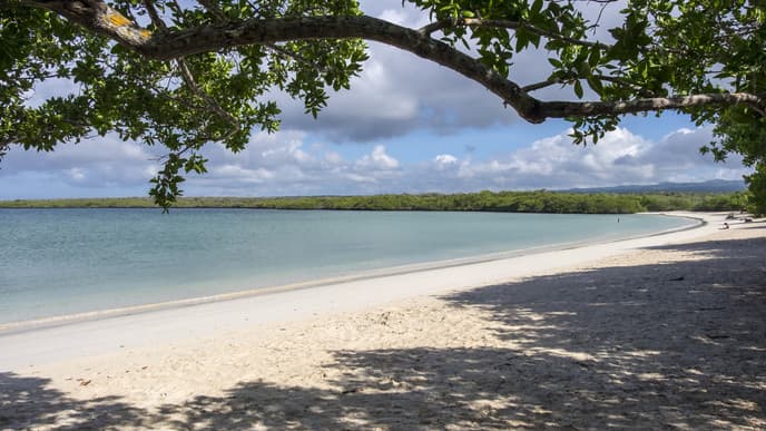 The heavenly Tortuga Bay