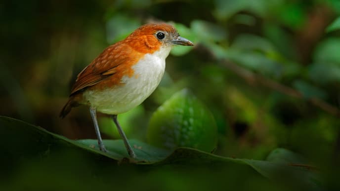 Soak in volcanic hot springs