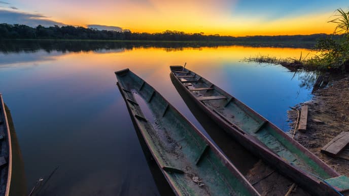 Experience Rainforest Life at Madidi National Park