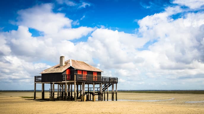 Seafood feasts by the beach in Arcachon