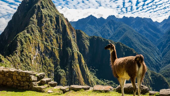 Marvel at the majesty of Machu Picchu