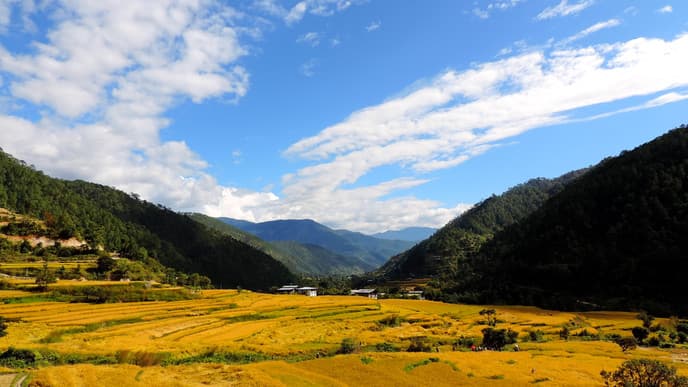Welcome to Bhutan!