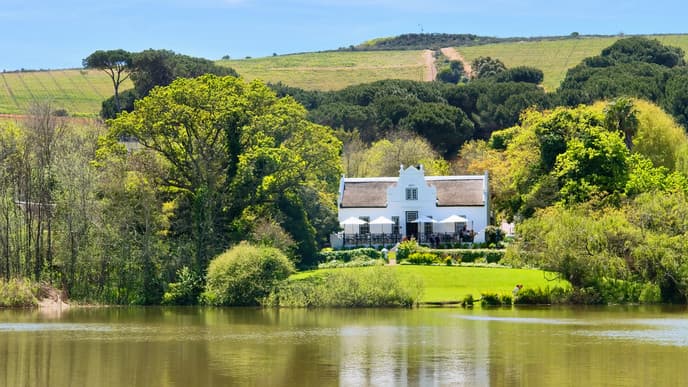 Explore the Wineries of the Region