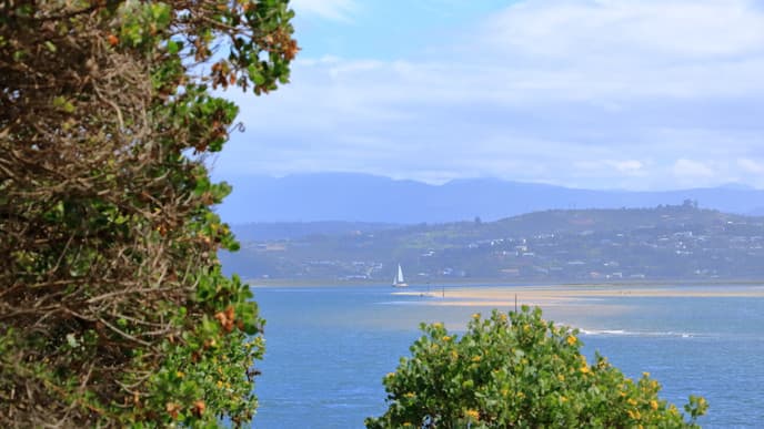 Landscapes & Wildlife of Featherbed