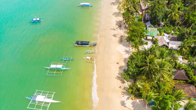 Cacnipa desert island